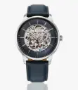 Titan Mechanical Automatic watch